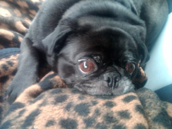 What are yo guys doing these days?