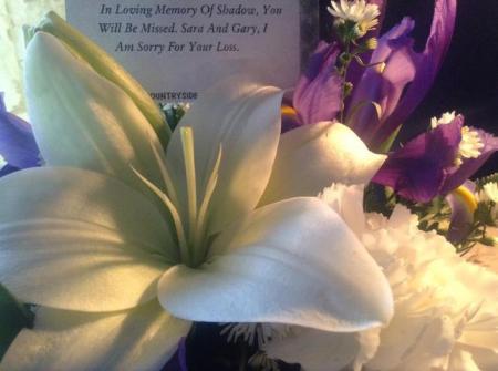 Showers of Blessings