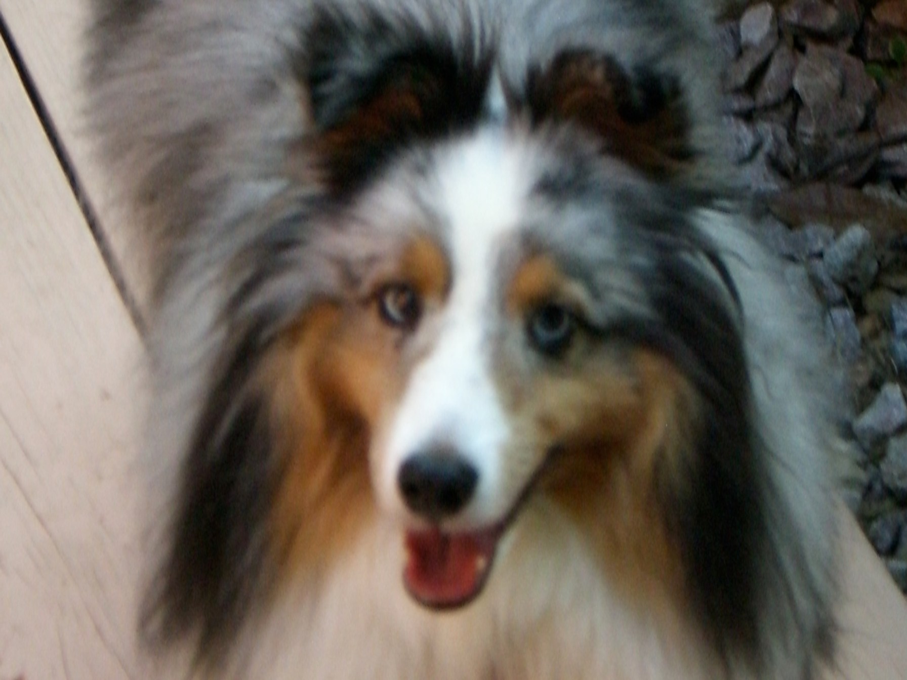 Saying Good to Our Shadow