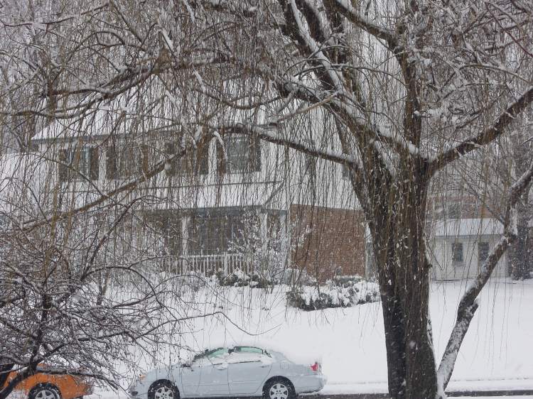 Snow in Northern Virginia